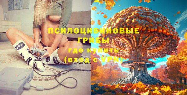 прущая мука Бородино