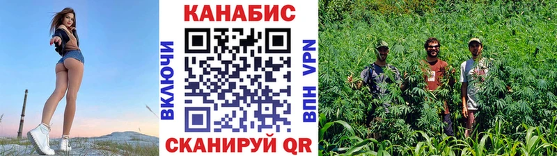 Бошки марихуана Amnesia  Щучье 